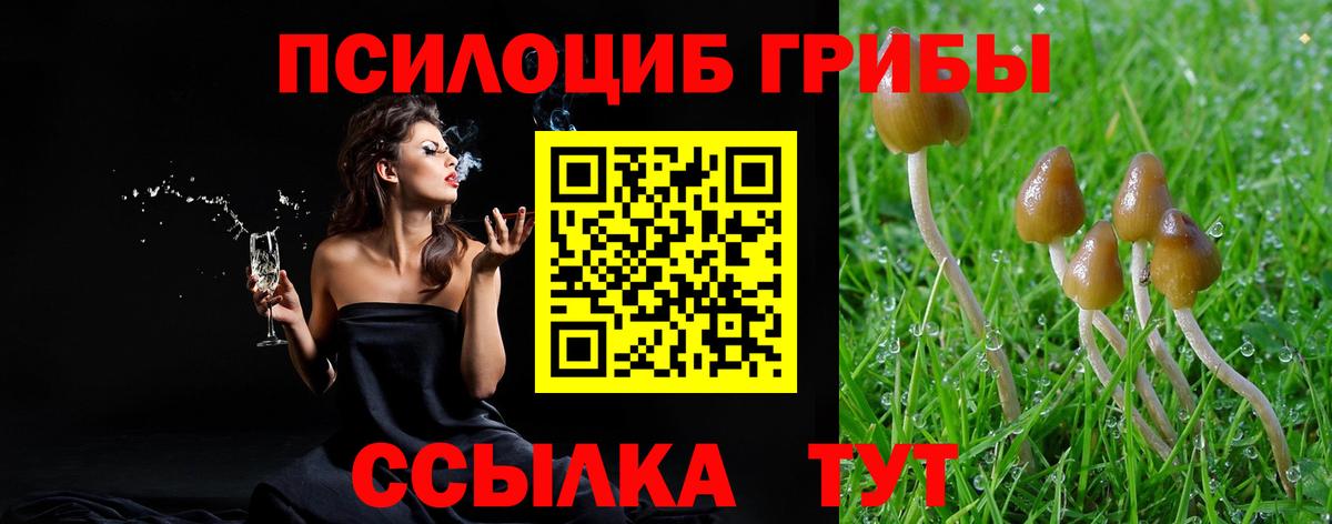 Псилоцибиновые грибы мухоморы  Вход с VPN  Полысаево  Псилоцибиновые грибы мицелий 