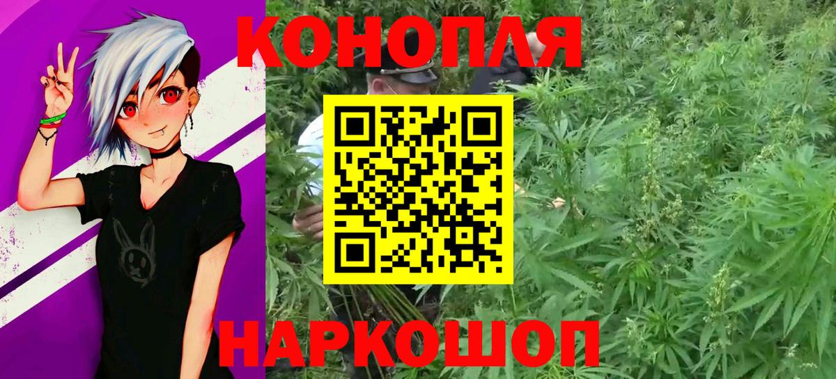 Каннабис OG Kush Полысаево